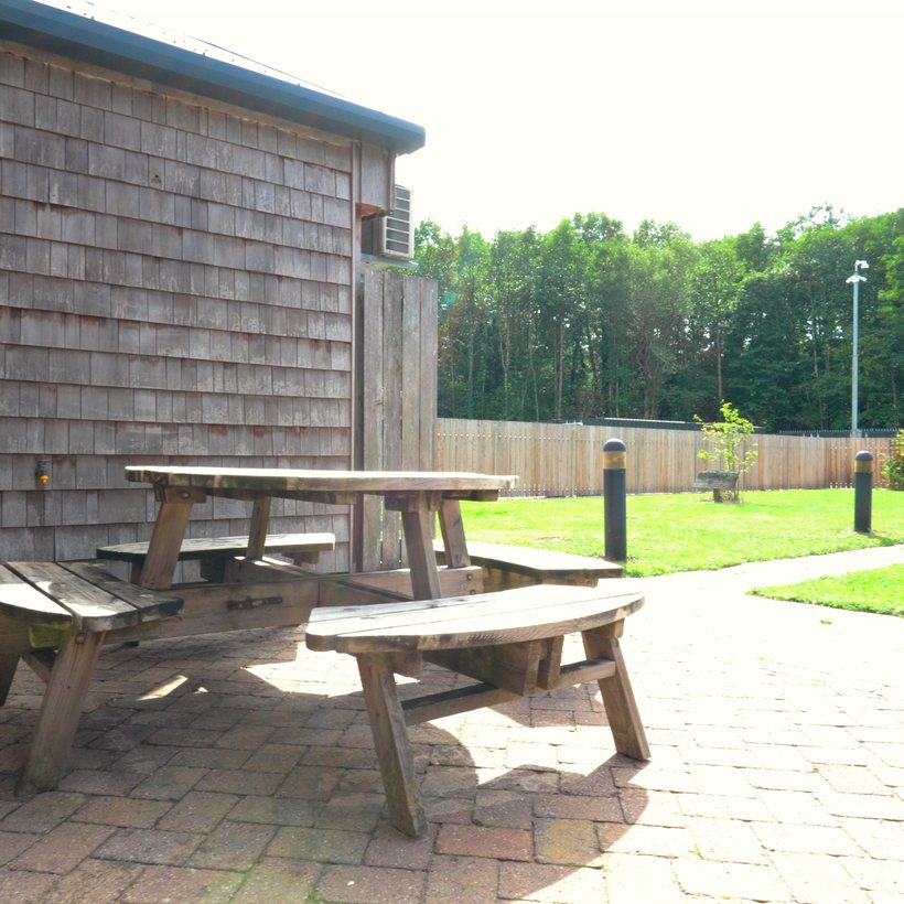 The garden at Mynydd Awel, with bench seating, a lawn and trees behind